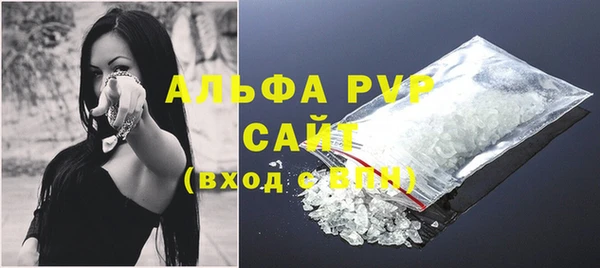 ПСИЛОЦИБИНОВЫЕ ГРИБЫ Богданович