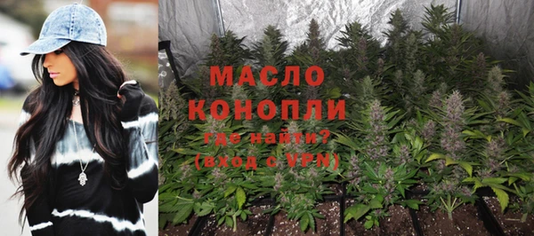 ПСИЛОЦИБИНОВЫЕ ГРИБЫ Богданович