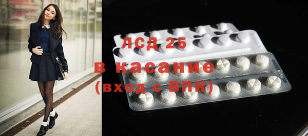 ПСИЛОЦИБИНОВЫЕ ГРИБЫ Богданович