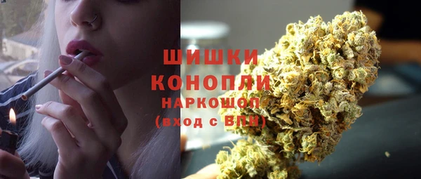 МДПВ Богородск
